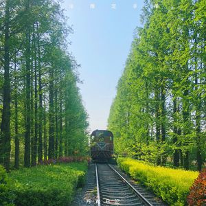 中国美女裸体舞AAAAA级
